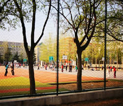 北京外国语大学留学基地篮球场