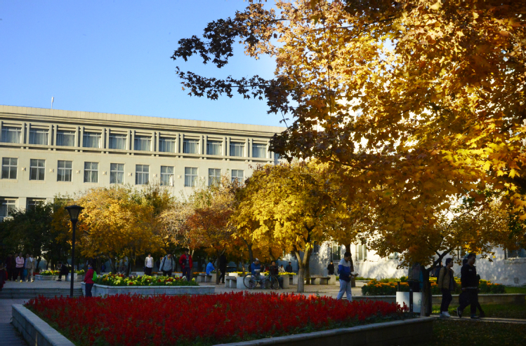 东北大学的秋天