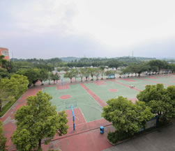 广东财经大学校园