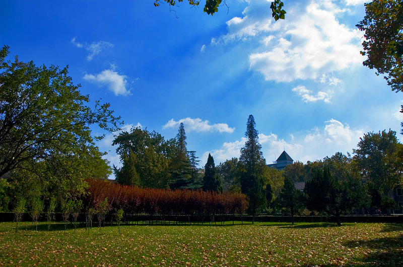 山东大学——秋天的校园