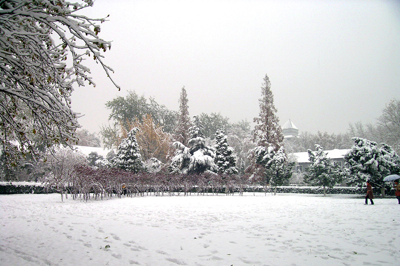 山东大学——冬天的校园