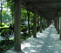 上海财经大学校园长廊