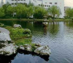 浙大湖畔风景一览