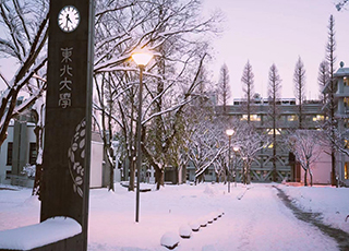 东北大学(日本)