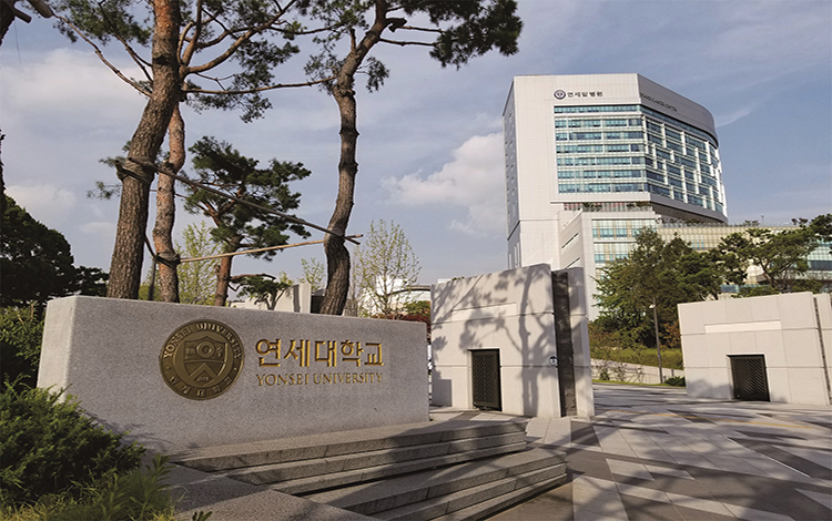 韩国延世大学